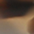 schildpatt