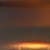 braun